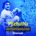 Pozhuthu Vidinchachu movie Poster Pozhuthu Vidinchachu movie poster